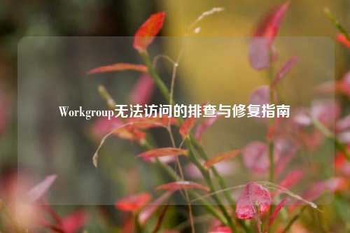 Workgroup无法访问的排查与修复指南