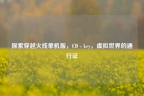 探索穿越火线单机版,CD - key,虚拟世界的通行证