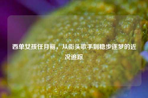 西单女孩任月丽,从街头歌手到稳步逐梦的近况追踪