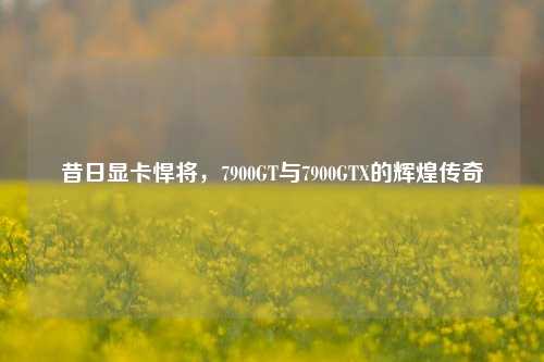 昔日显卡悍将,7900GT与7900GTX的辉煌传奇