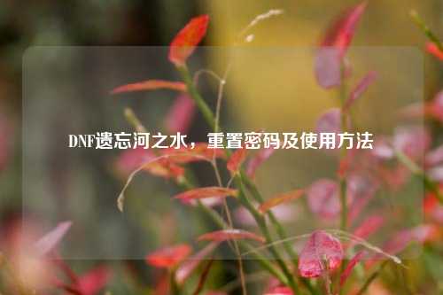 DNF遗忘河之水,重置密码及使用