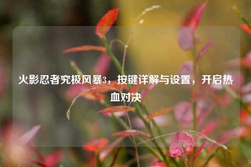 火影忍者究极风暴3,按键详解与设置,开启热血对决