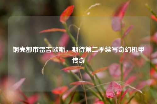 钢壳都市雷吉欧斯,期待第二季续写奇幻机甲传奇