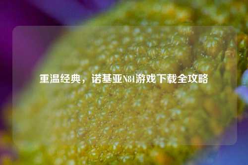 重温经典,诺基亚N81游戏下载全攻略