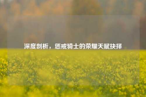 深度剖析,惩戒骑士的荣耀天赋抉择