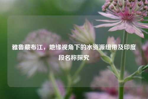 雅鲁藏布江,地缘视角下的水资源纽带及印度段名称探究