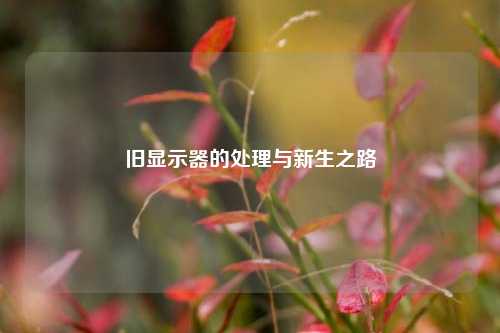 旧显示器的处理与新生之路