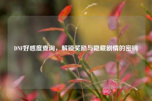 DNF好感度查询,解锁奖励与隐藏剧情的密钥