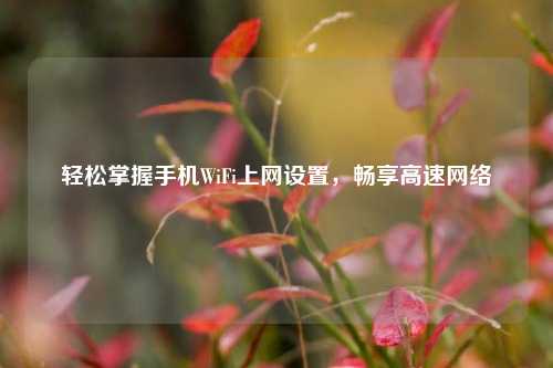 轻松掌握手机WiFi上网设置,畅享高速