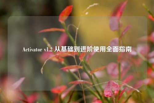 Activator v1.2 从基础到进阶使用全面指南