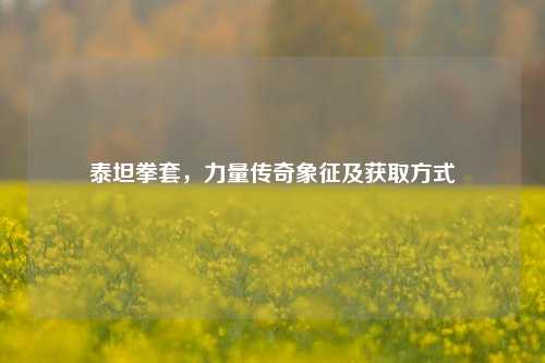 泰坦拳套,力量传奇象征及获取方式