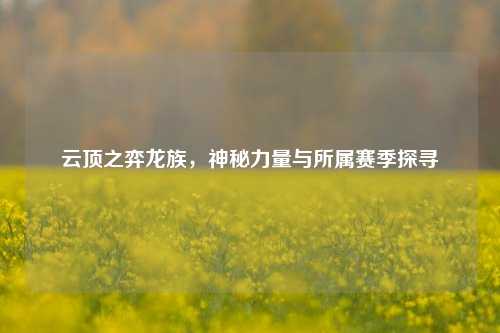 云顶之弈龙族,神秘力量与所属赛季探寻