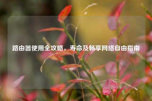 路由器使用全攻略,寿命及畅享 自由指南