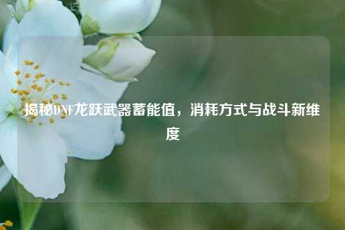揭秘DNF龙跃武器蓄能值,消耗方式与战斗新维度