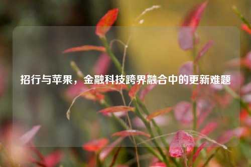 招行与苹果,金融科技跨界融合中的更新难题
