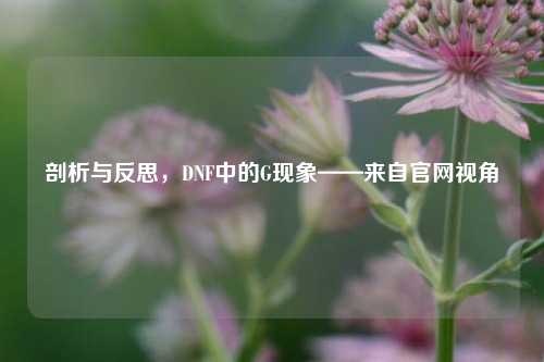 剖析与反思,DNF中的G现象——来自官网视角