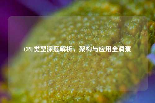 CPU类型深度解析,架构与应用全洞察