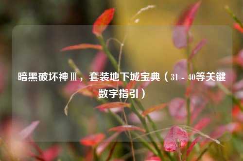 暗黑破坏神Ⅲ,套装地下城宝典(31 - 40等关键数字指引)