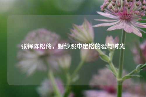 张铎陈松伶,婚纱照中定格的爱与时光