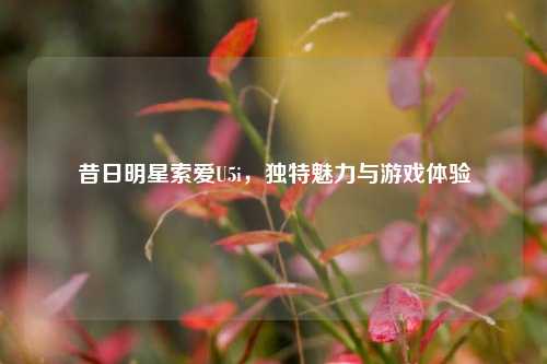 昔日明星索爱U5i,独特魅力与游戏体验