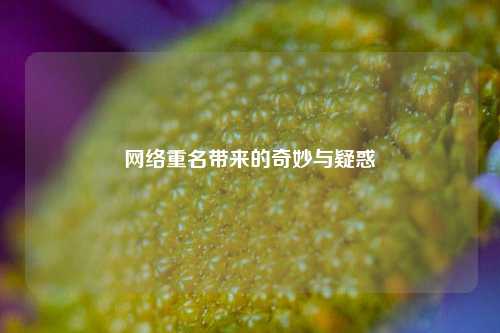 重名带来的奇妙与疑惑