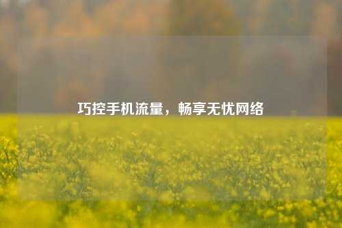 巧控手机流量,畅享无忧