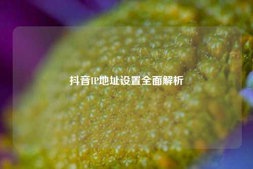 抖音IP地址设置全面解析