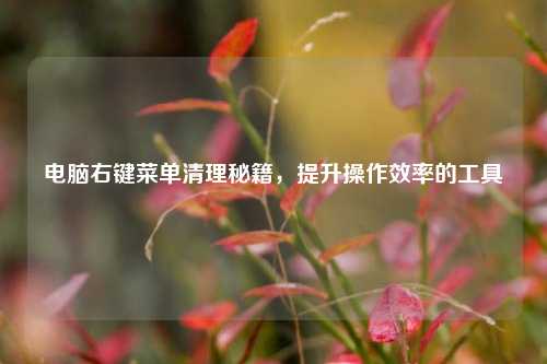 电脑右键菜单清理秘籍,提升操作效率的工具