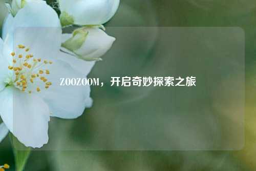 ZOOZOOM,开启奇妙探索之旅