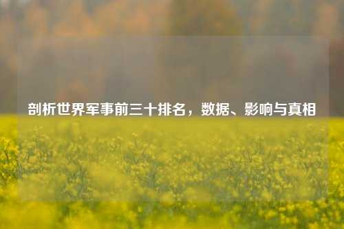 剖析世界军事前三十排名,数据、影响与真相