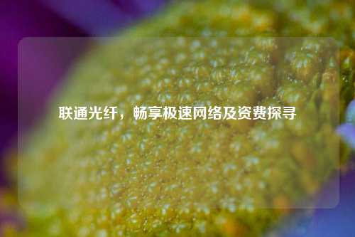 联通光纤,畅享极速 及资费探寻