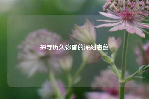 探寻历久弥香的深刻意蕴