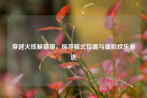 穿越火线躲猫猫,探寻模式位置与虚拟欢乐追逐