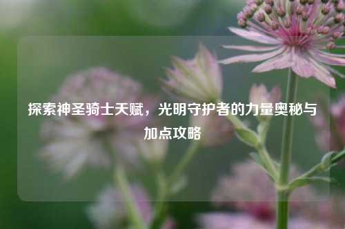 探索神圣骑士天赋,光明守护者的力量奥秘与加点攻略