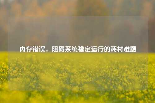内存错误,阻碍系统稳定运行的耗材难题