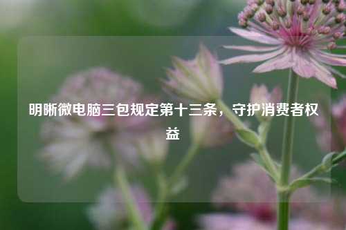 明晰微电脑三包规定第十三条,守护消费者权益