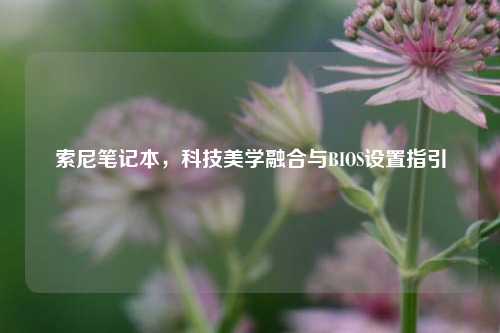 索尼笔记本,科技美学融合与BIOS设置指引