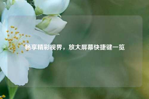 畅享精彩视界,放大屏幕快捷键一览