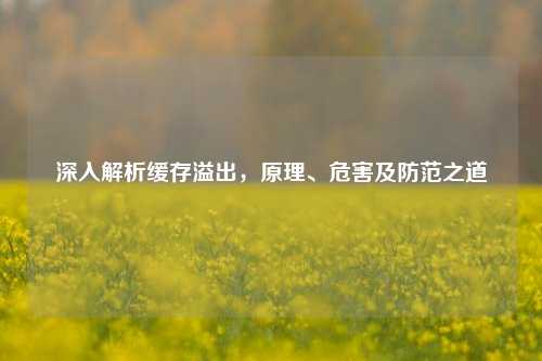 深入解析缓存溢出,原理、危害及防范之道