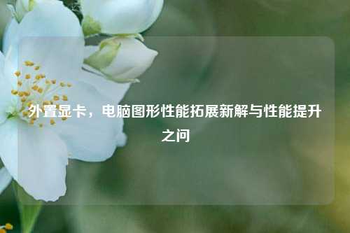 外置显卡,电脑图形性能拓展新解与性能提升之问