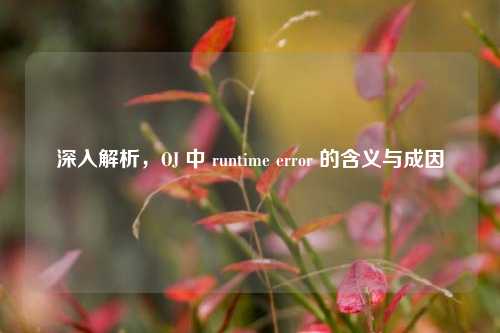 深入解析,OJ 中 runtime error 的含义与成因