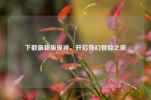 下载最新版原神,开启奇幻冒险之旅