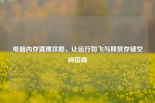 电脑内存清理攻略,让运行如飞与释放存储空间指南