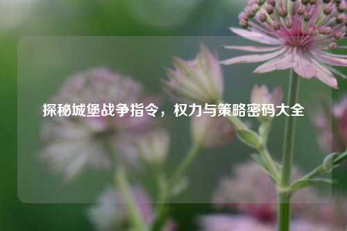 探秘城堡战争指令,权力与策略密码大全