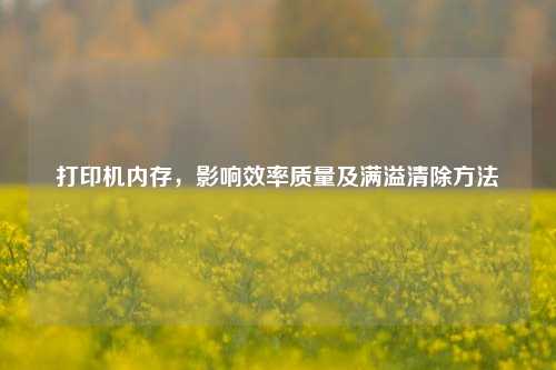 打印机内存,影响效率质量及满溢清除