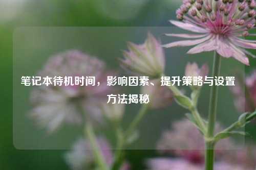 笔记本待机时间,影响因素、提升策略与设置 揭秘