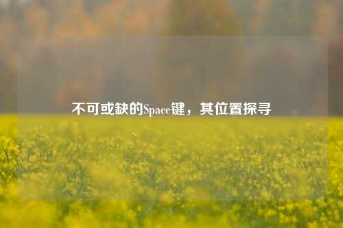 不可或缺的Space键,其位置探寻