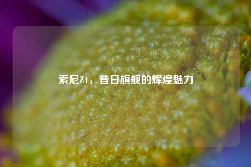 索尼Z1,昔日旗舰的辉煌魅力