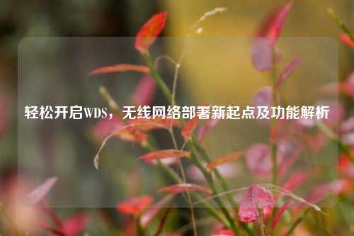 轻松开启WDS,无线 部署新起点及功能解析