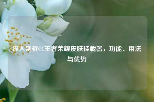 深入剖析CC王者荣耀皮肤挂载器，功能、用法与优势